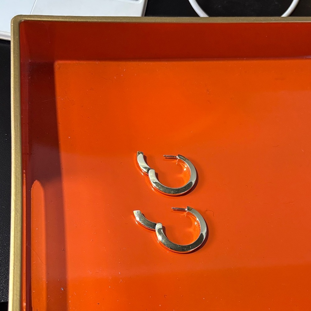 NWOT Jenny Bird Silver 1.1” Diameter Bestseller Toni Hoop Earrings - Picture 6 of 6